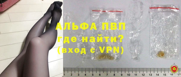 гидра Новозыбков