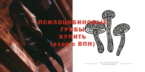 гидра Новозыбков