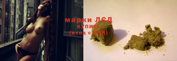 гидра Новозыбков
