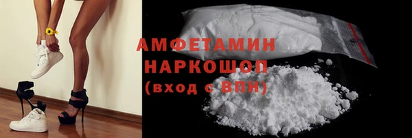 гидра Новозыбков