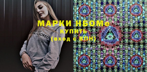 гидра Новозыбков