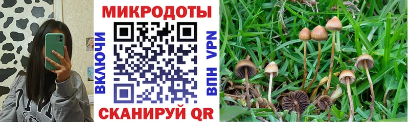 blacksprut рабочий сайт  купить  сайты  Бахчисарай  Псилоцибиновые грибы GOLDEN TEACHER 