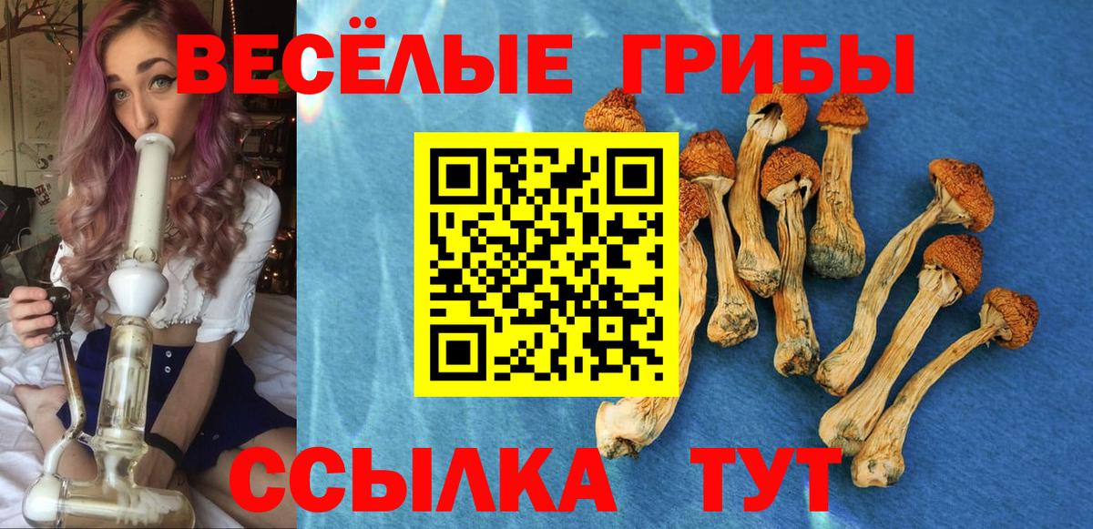Галлюциногенные грибы Psilocybe  Галлюциногенные грибы мицелий  Бахчисарай  Вход с VPN 